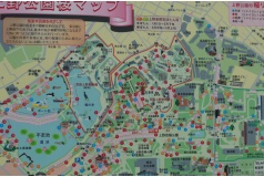 上野公園地図