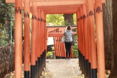 花園神社２