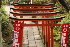 花園神社３