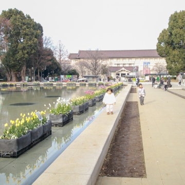 上野恩賜公園　噴水広場