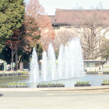 上野恩賜公園　噴水広場